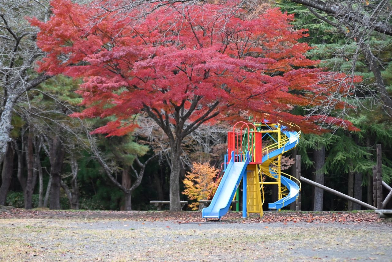 野木和公園