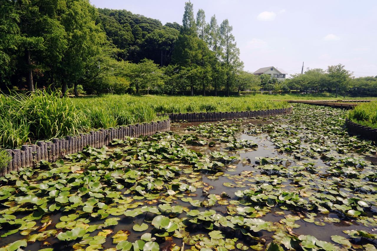 袖ケ浦公園