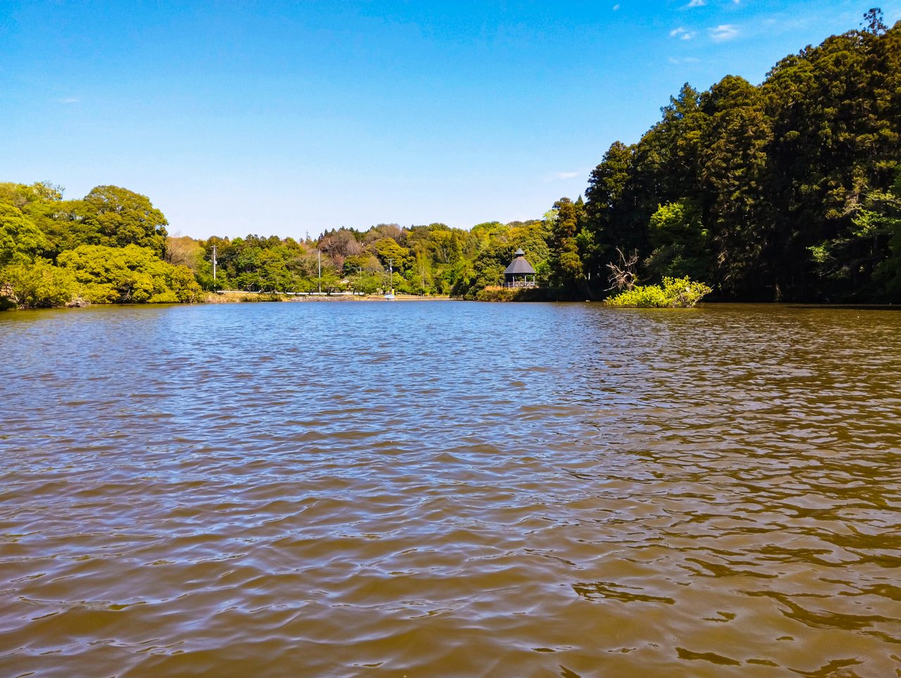 坂田ヶ池総合公園