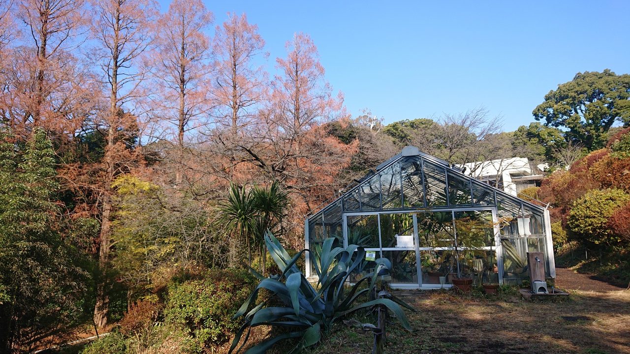 横浜市こども植物園