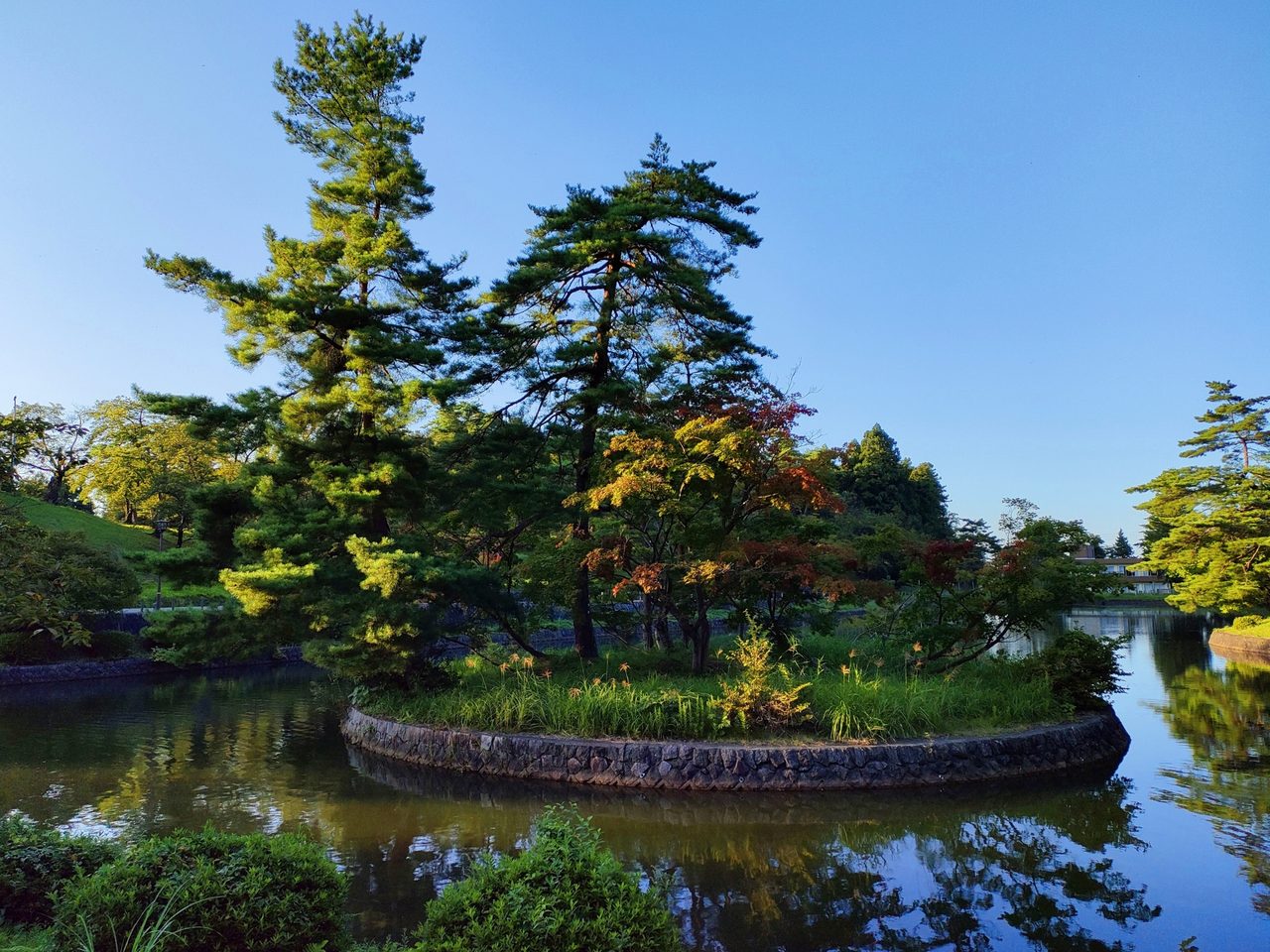 悠久山公園