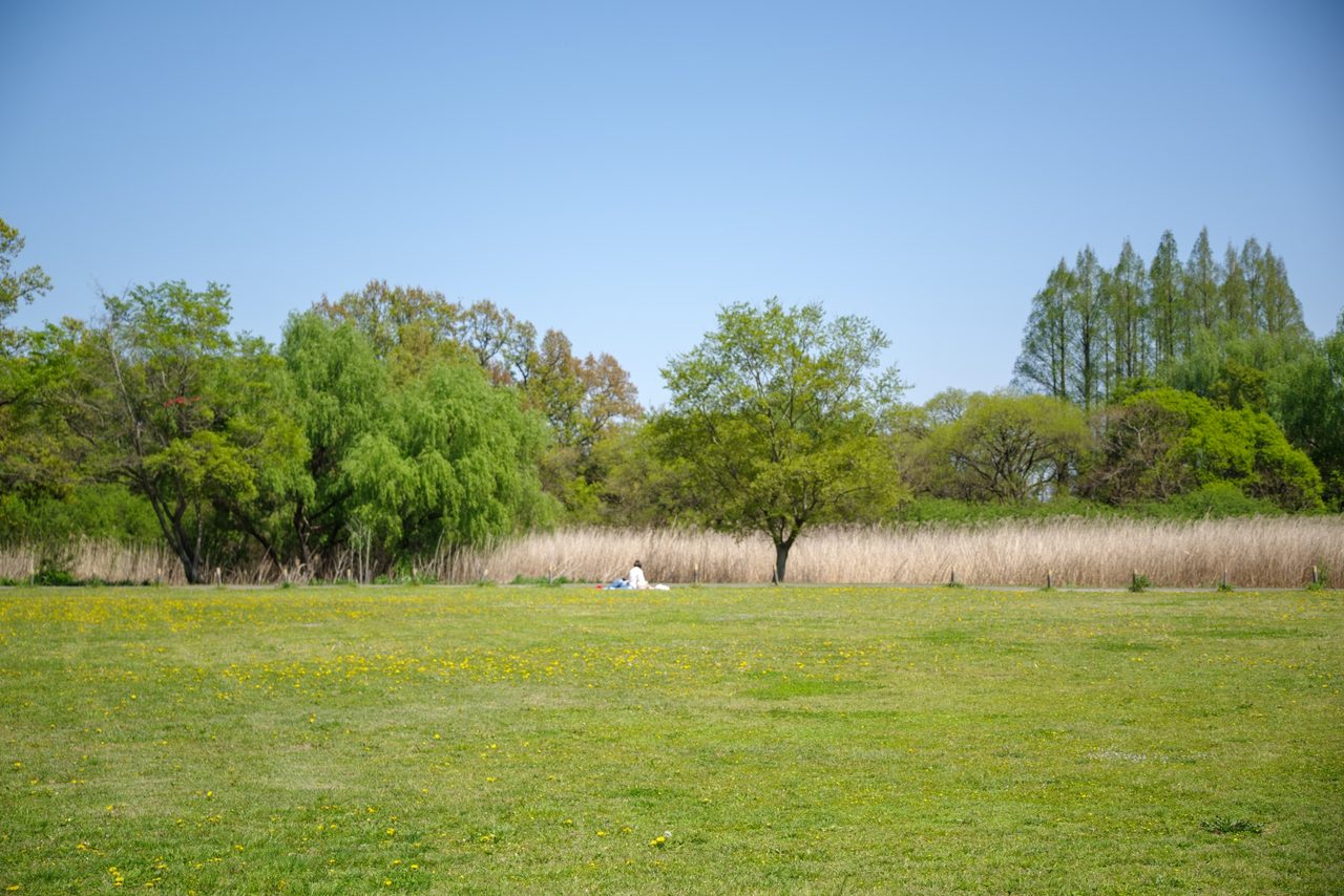 Gas Oneグリーンパーク秋ヶ瀬（秋ヶ瀬公園）