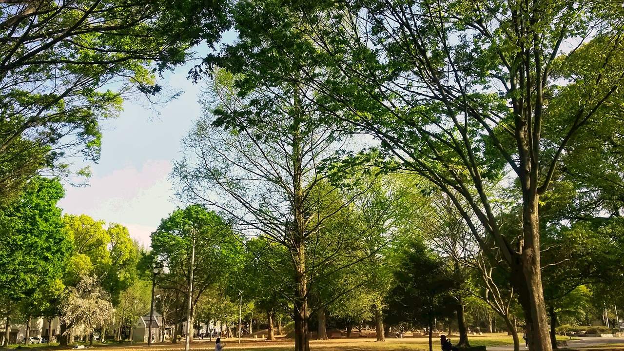 北浦和公園