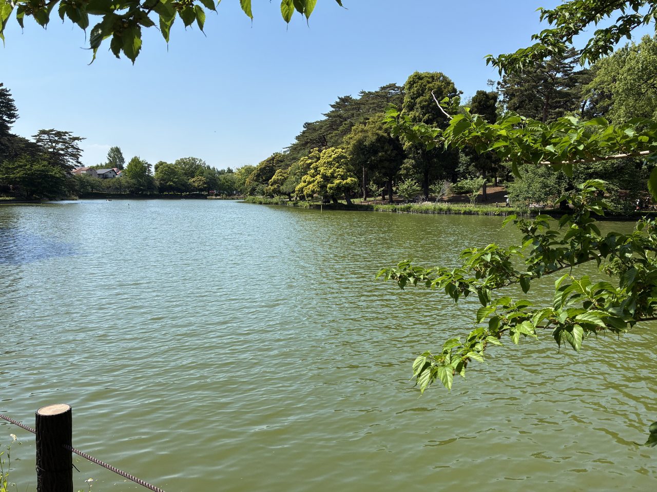 大宮公園