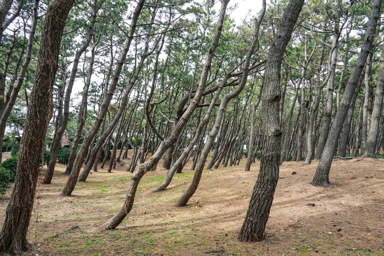 千本浜公園