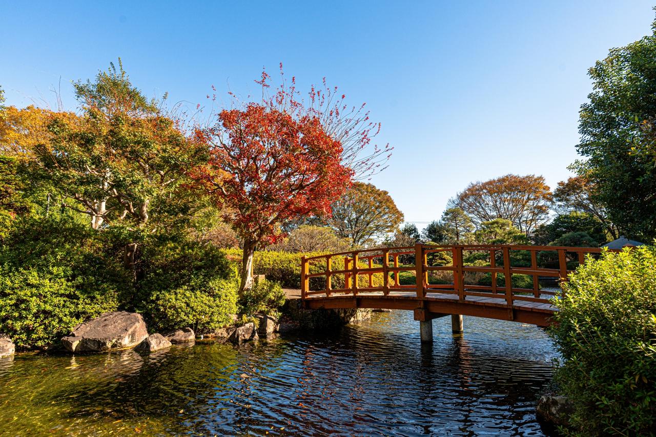 城北公園