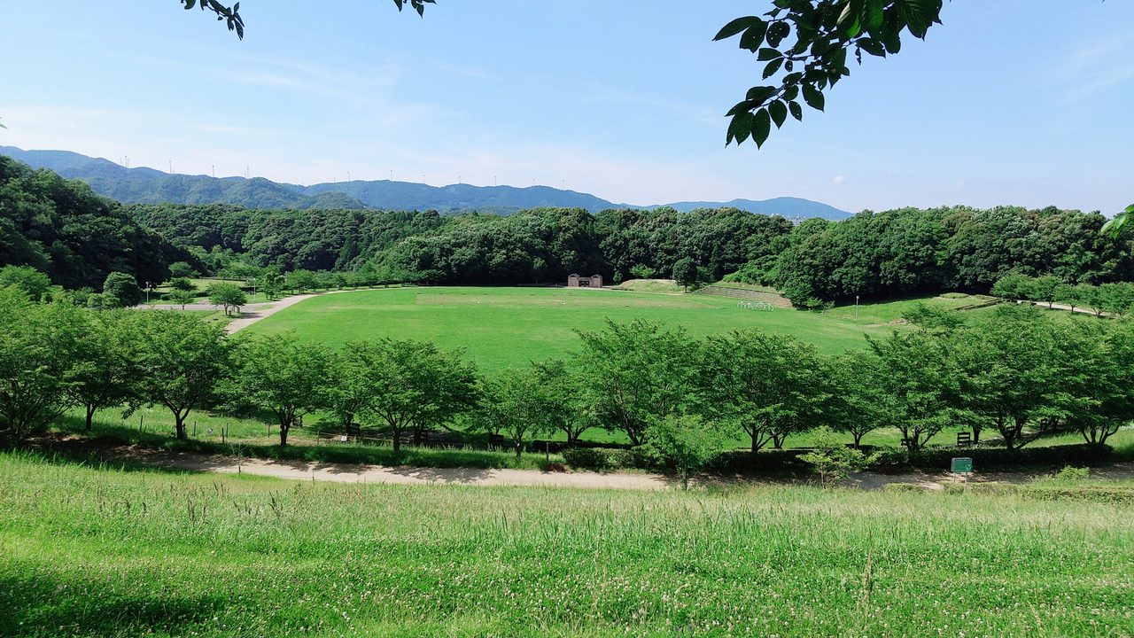 都田総合公園