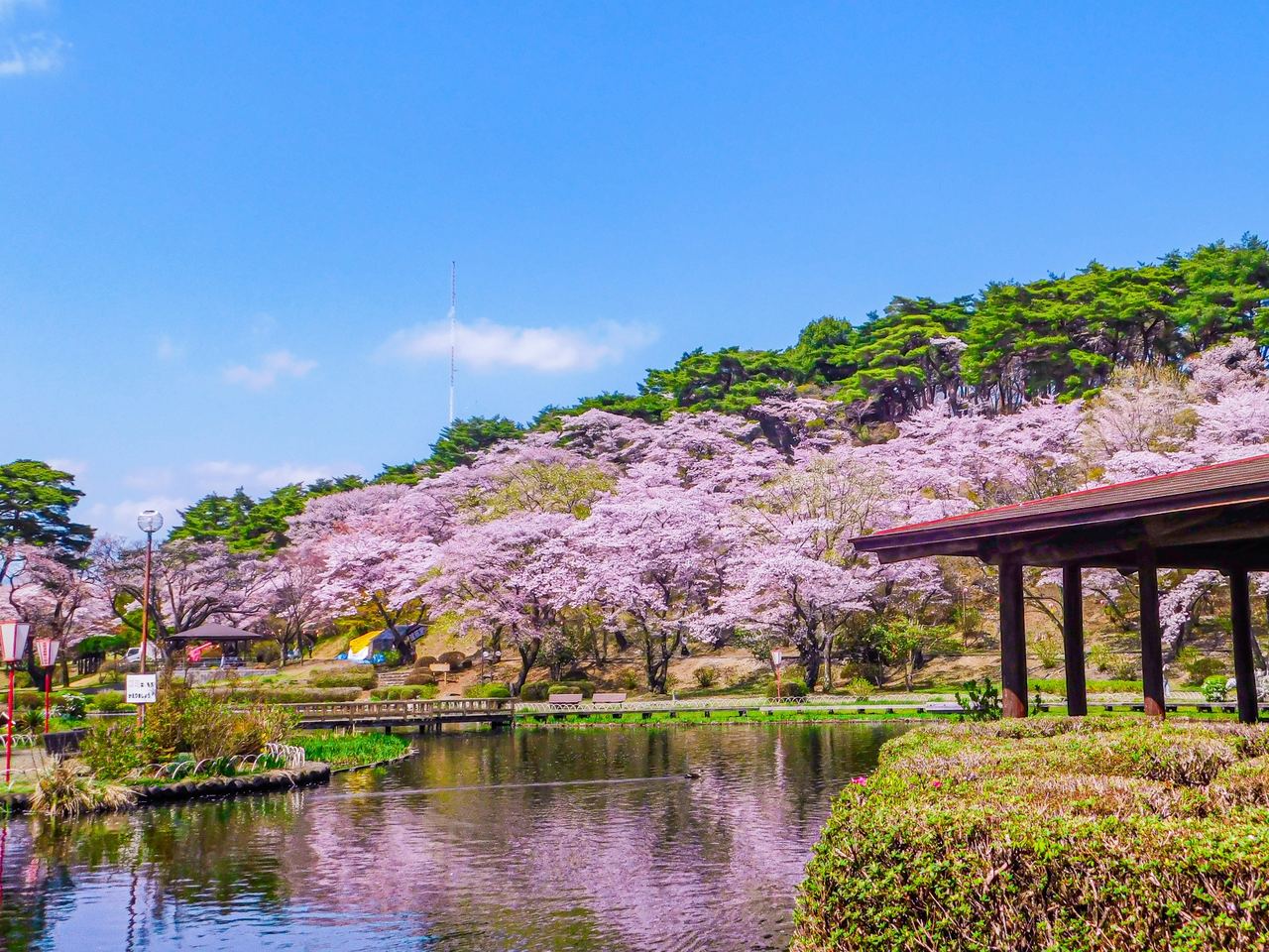 烏ヶ森公園