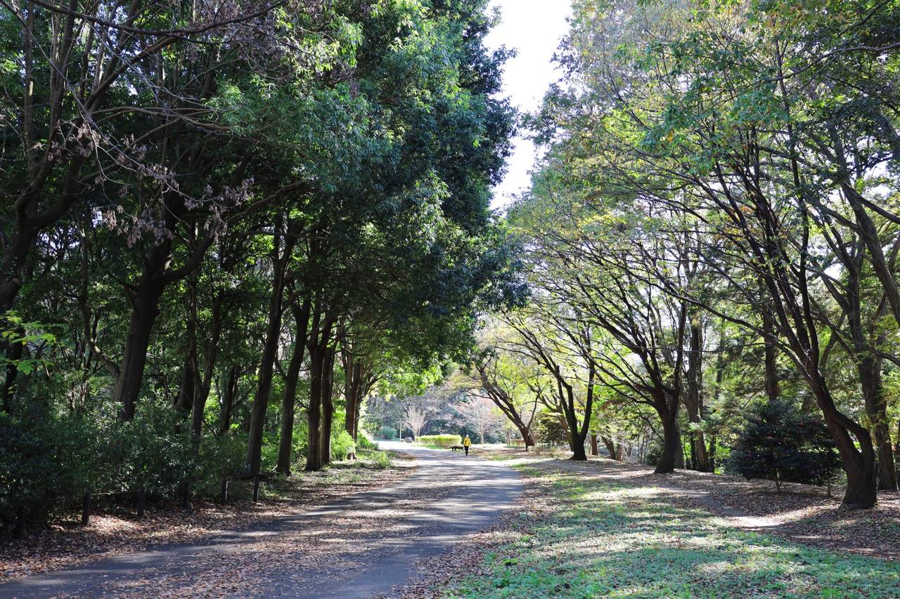 小山内裏公園