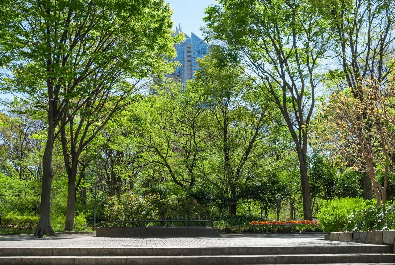 新宿中央公園
