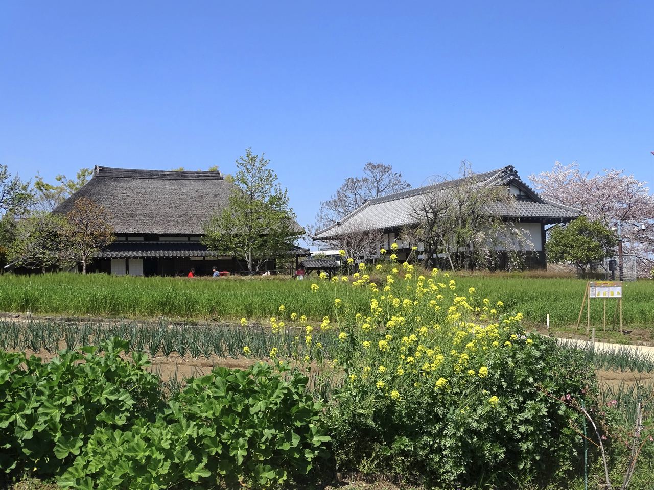 足立区都市農業公園