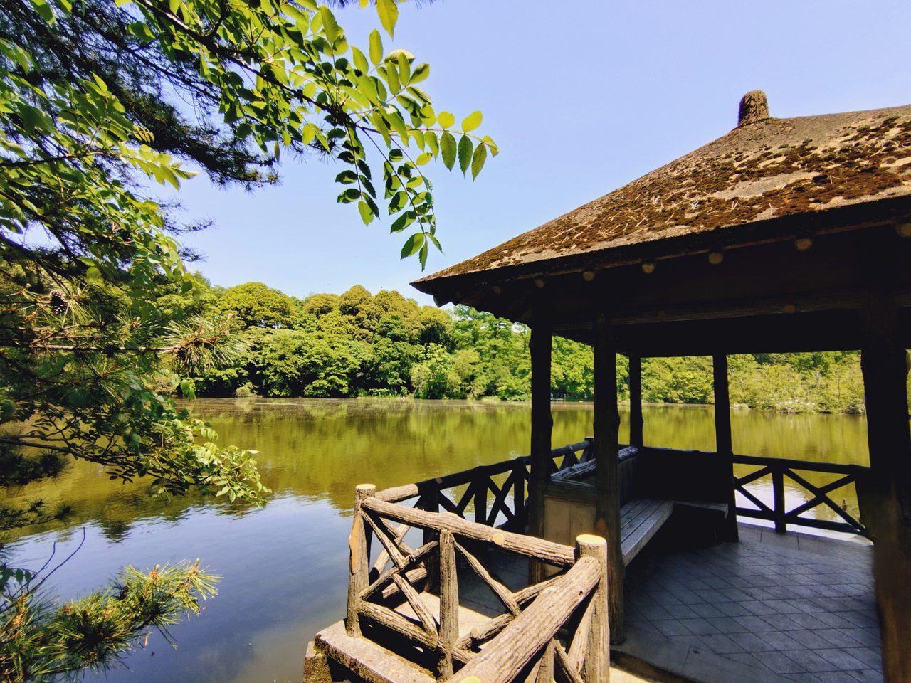 石神井公園