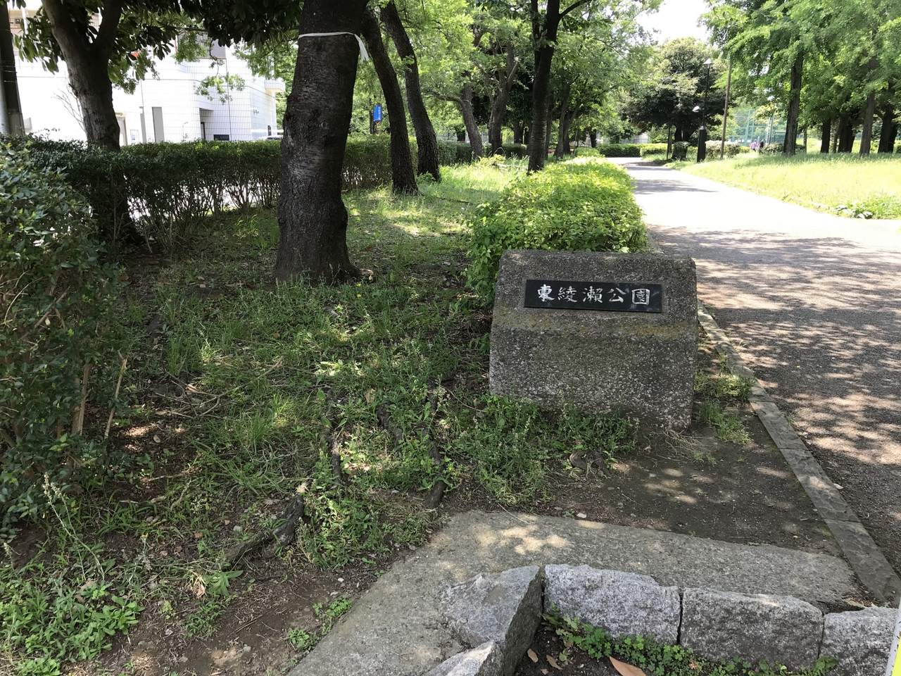 東綾瀬公園
