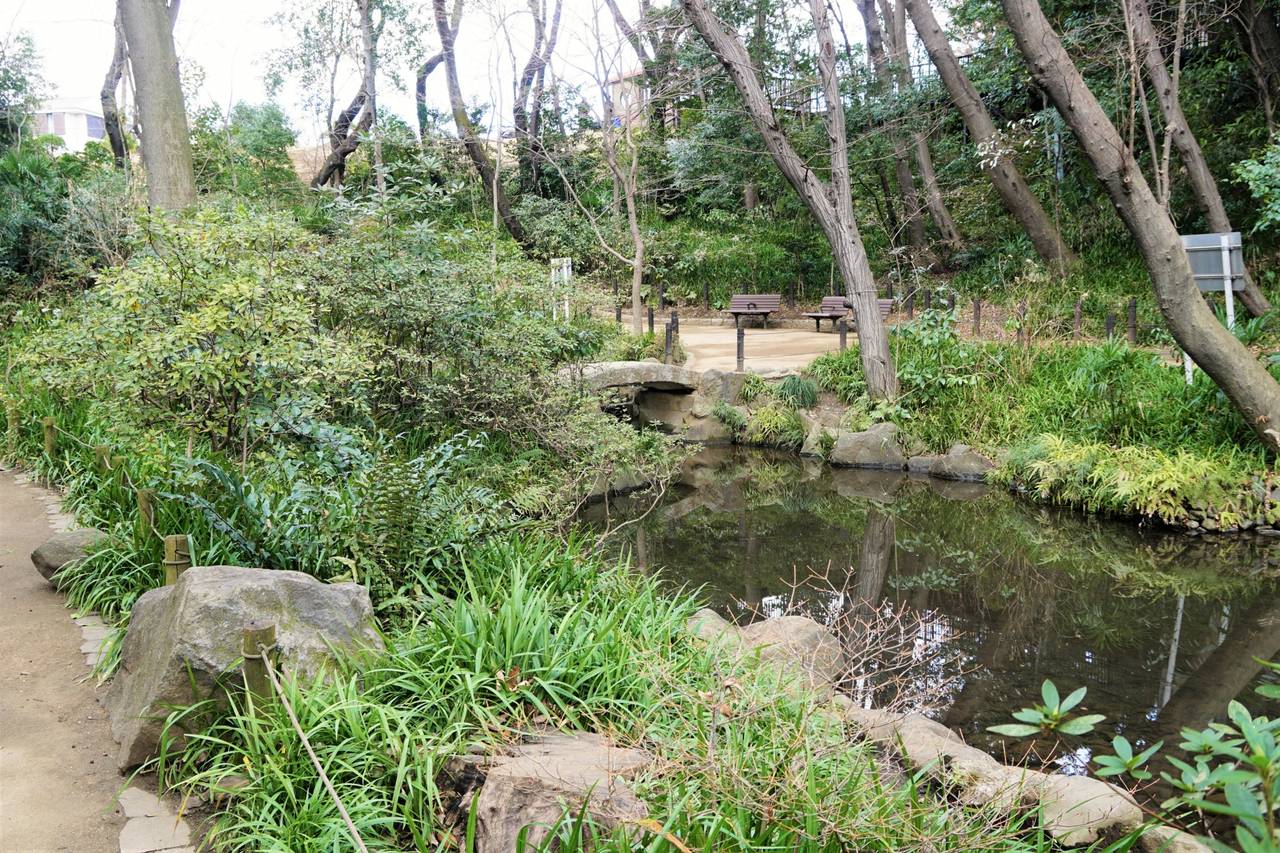 おとめ山公園