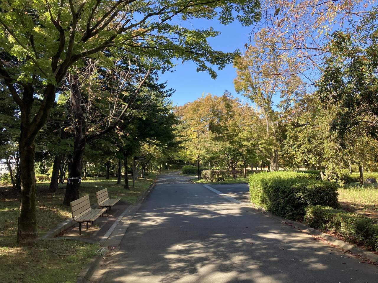小瀬スポーツ公園
