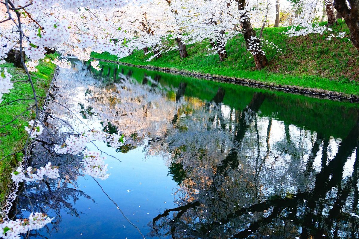 弘前公園(弘前城)
