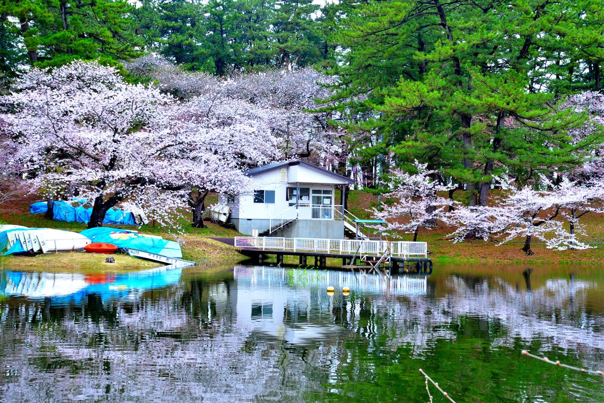芦野公園