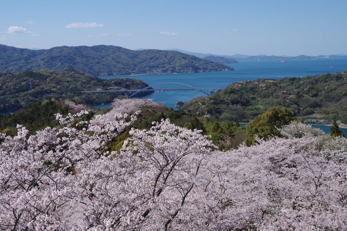 開山公園