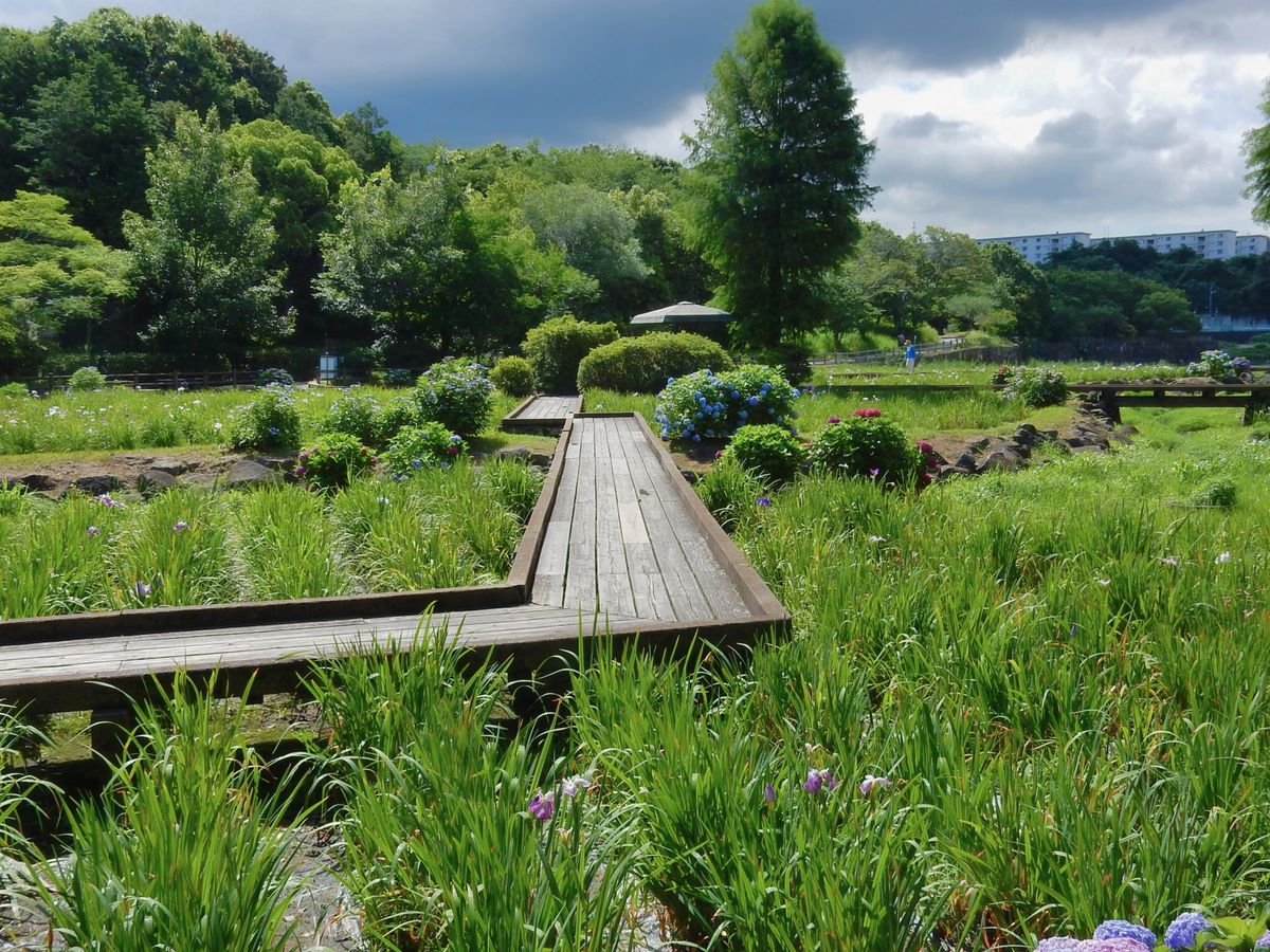春日池公園
