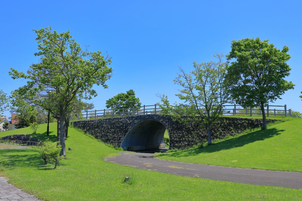 中央公園