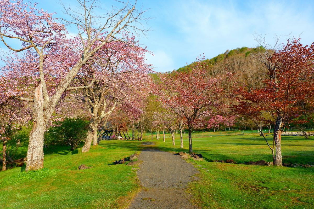 別保公園