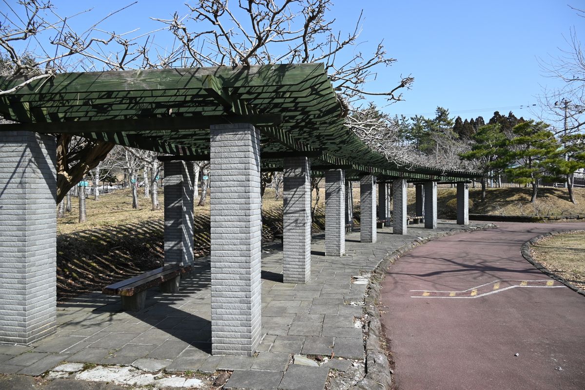 函館市民の森
