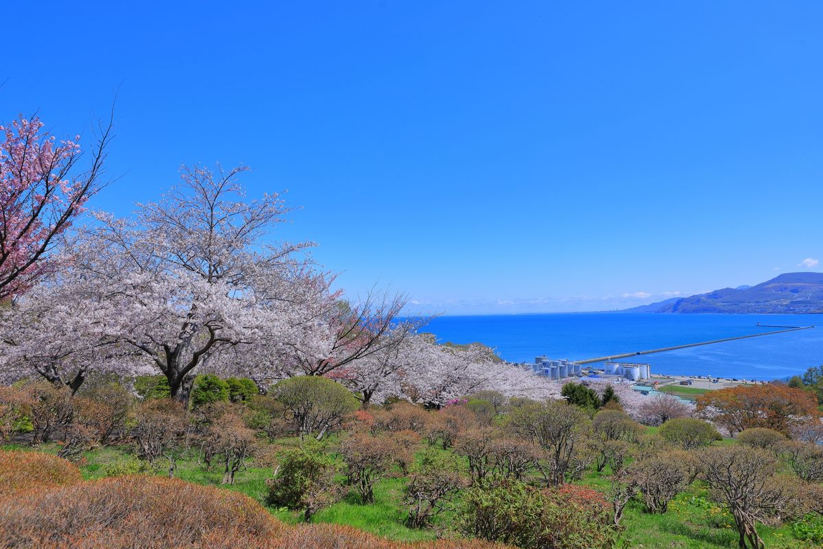 手宮公園