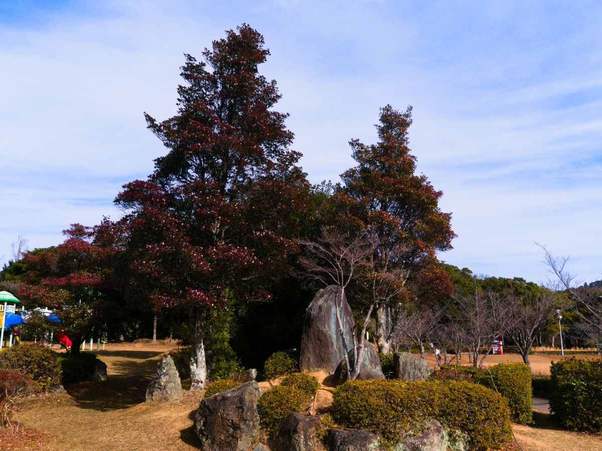 鳥羽市民の森公園(ガリバー公園)