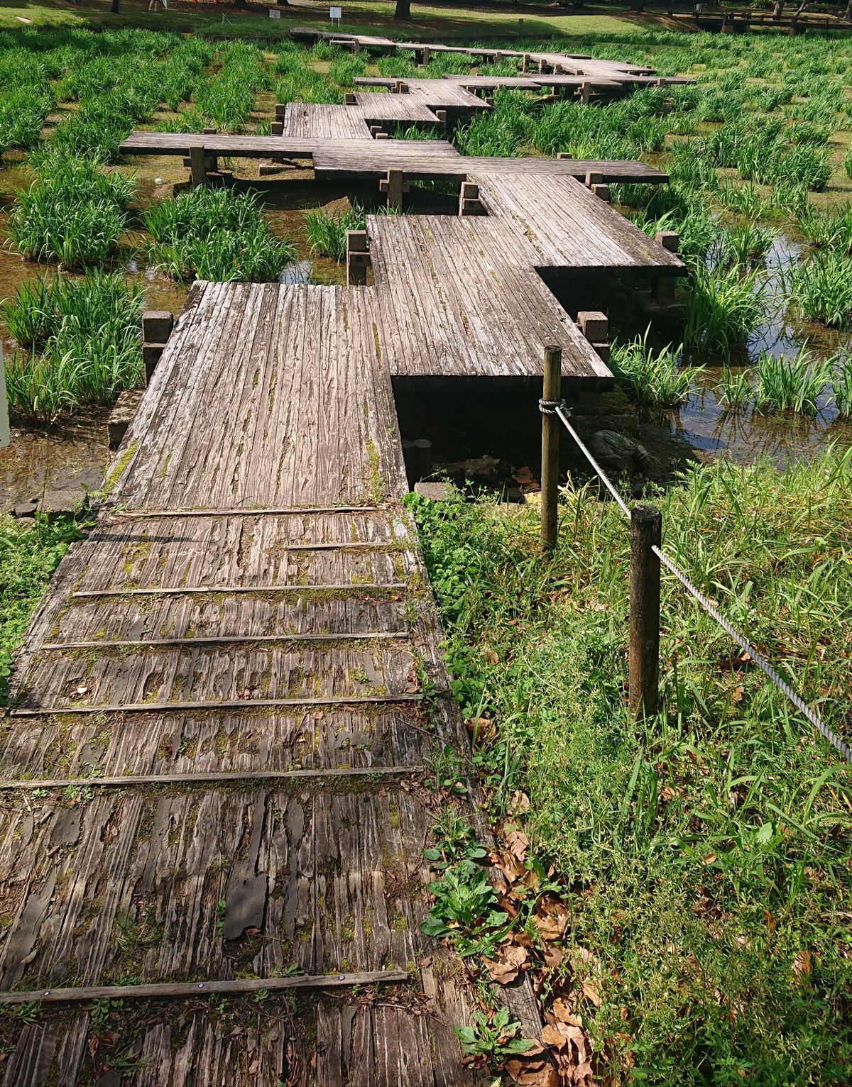 阿波岐原森林公園 市民の森