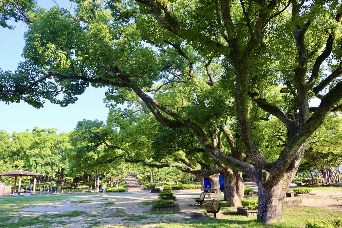 佐世保公園