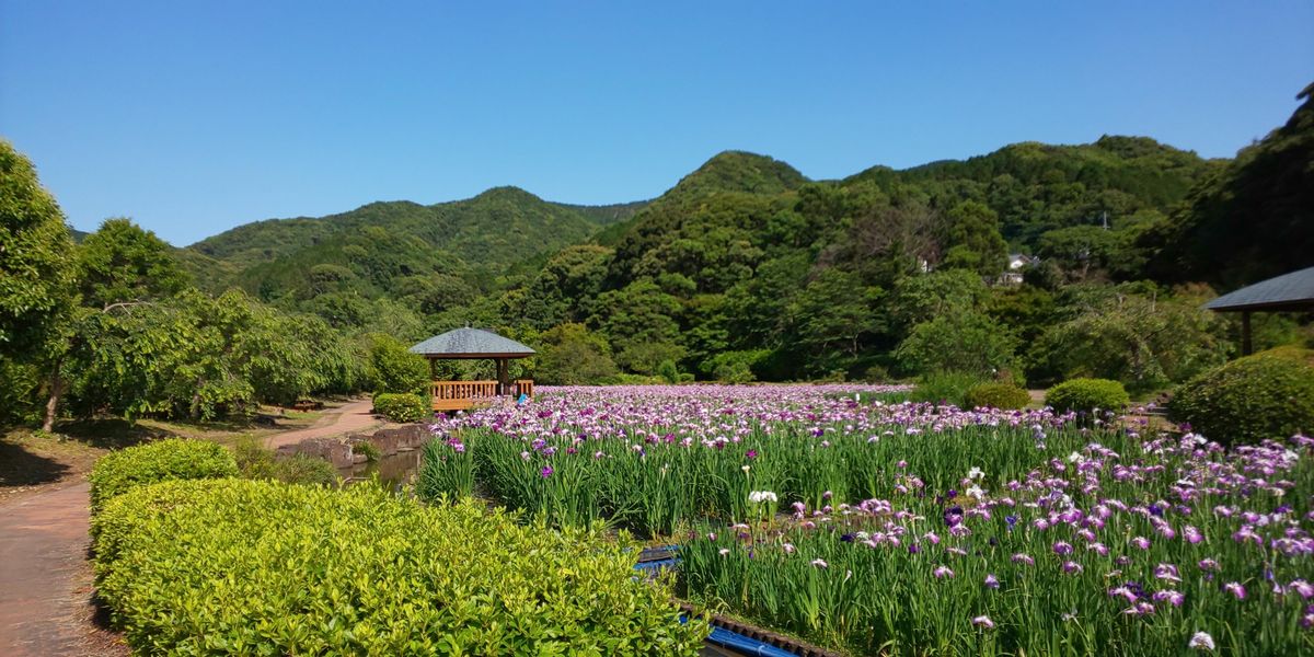 皿山公園