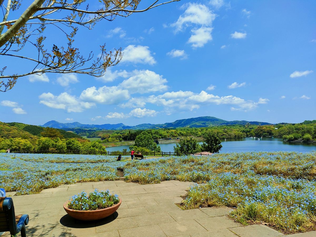 大分農業文化公園（るるパーク）