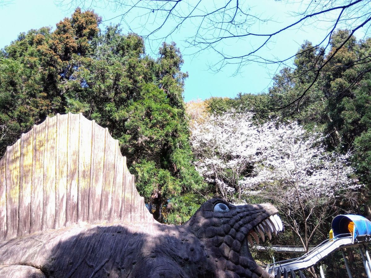 阪南市 わんぱく王国