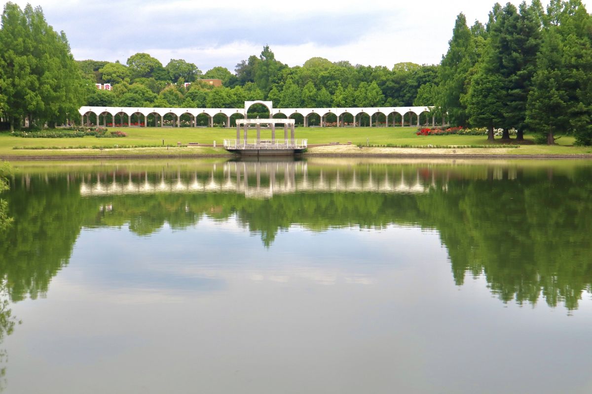 蜻蛉池公園