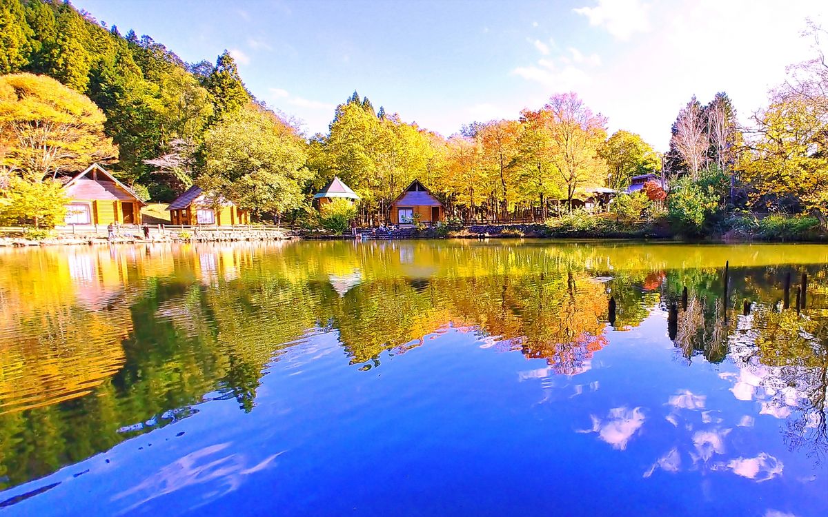 目田森林公園