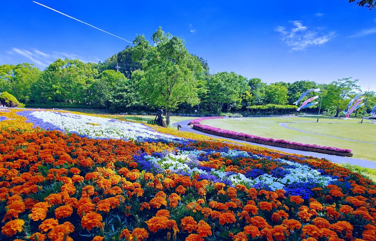 しまね花の郷