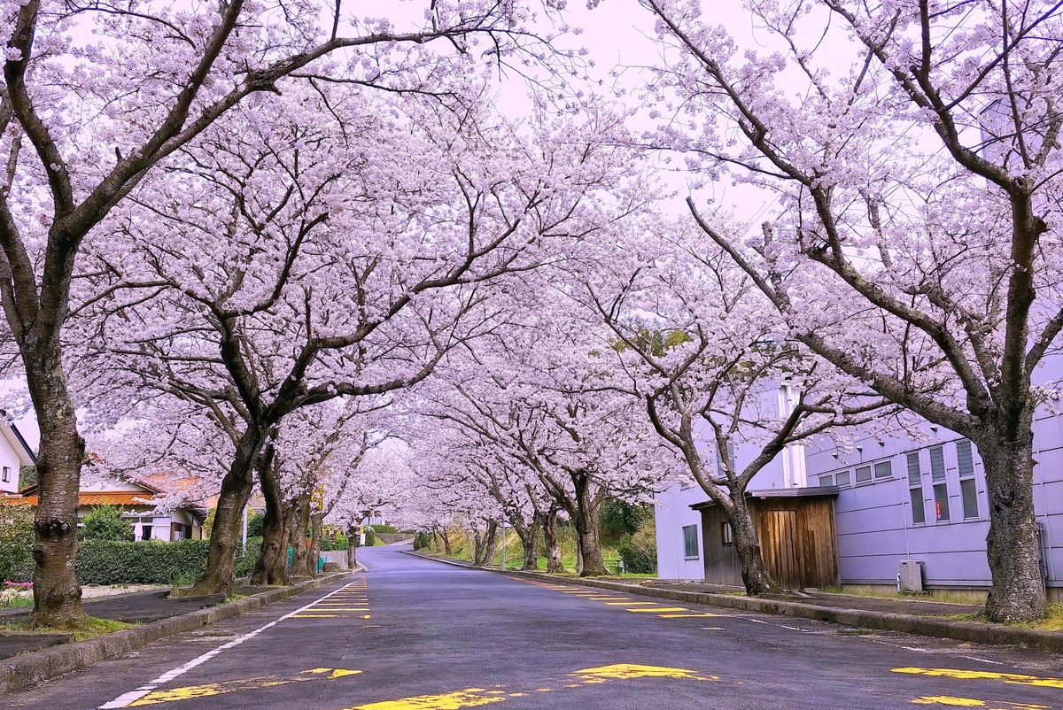 斐川公園