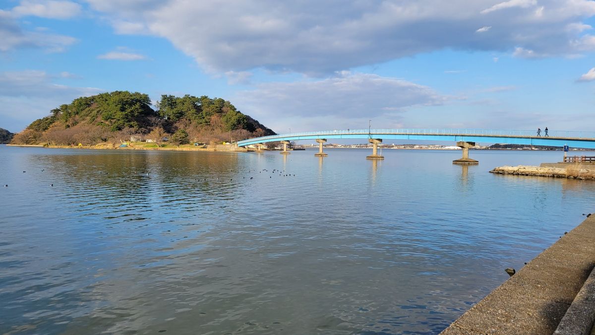 湖山池・青島