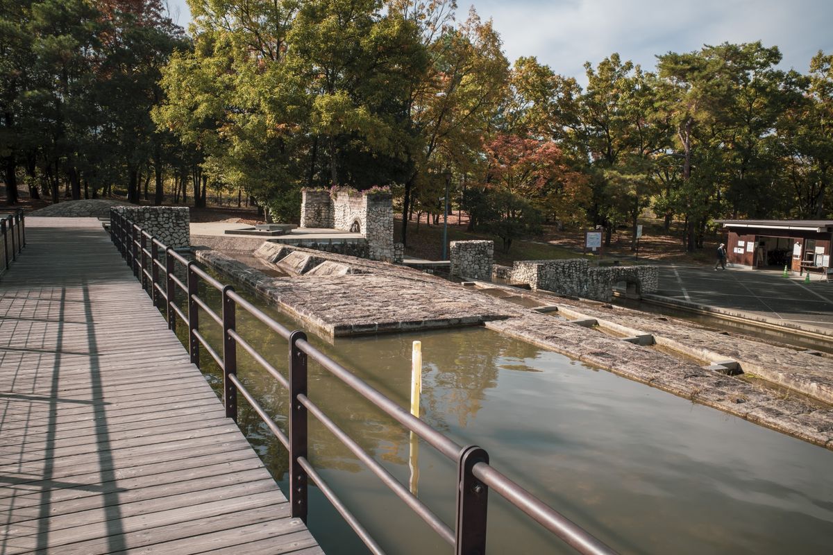 山梨県森林公園 金川の森